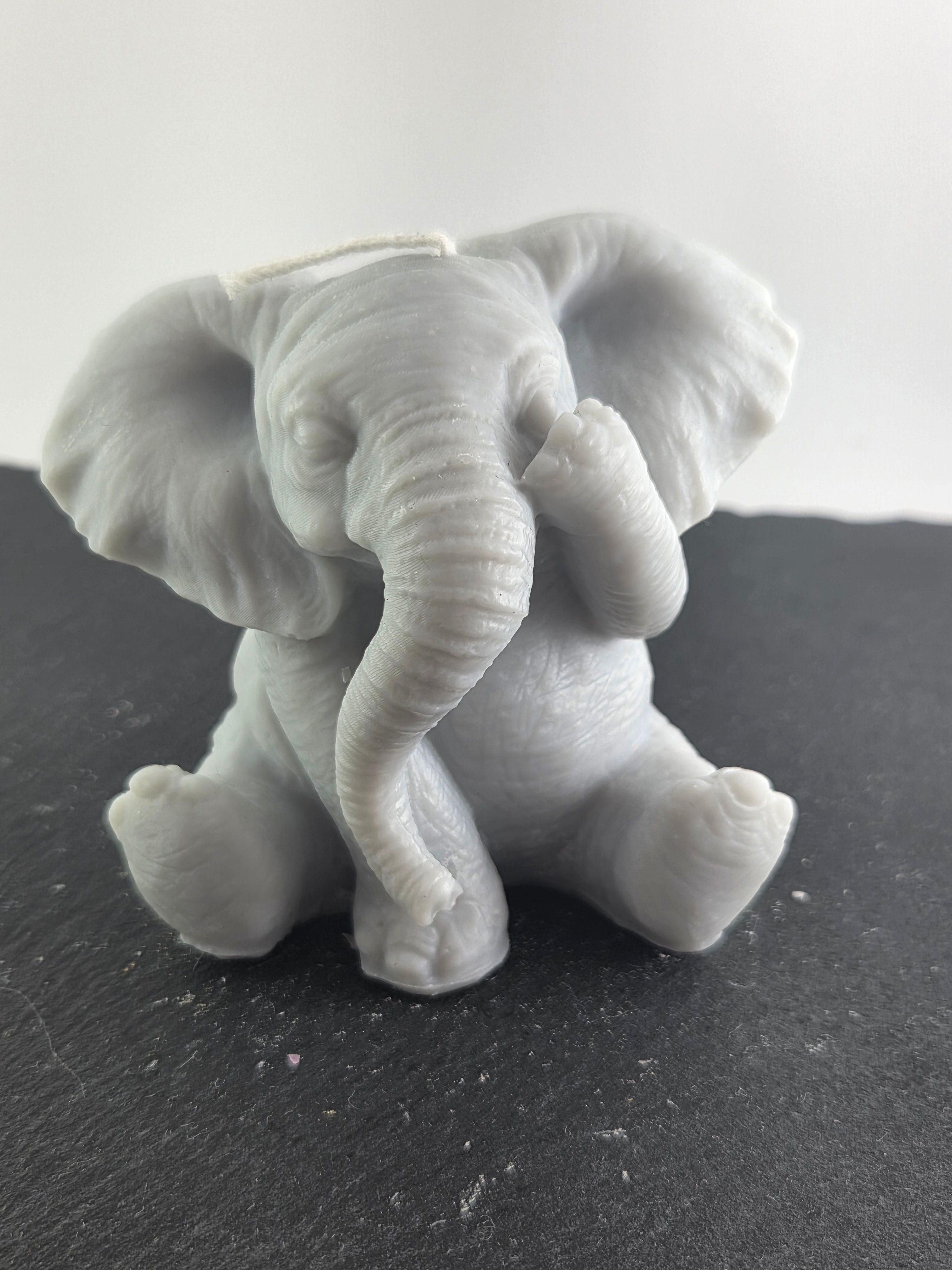 Elefant
