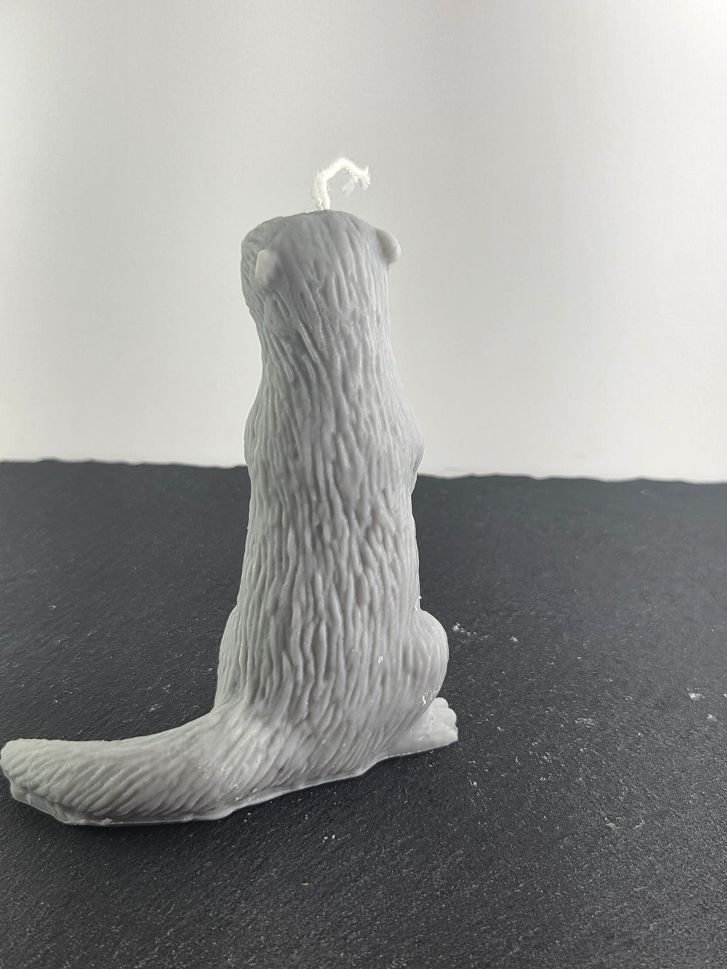 Otter