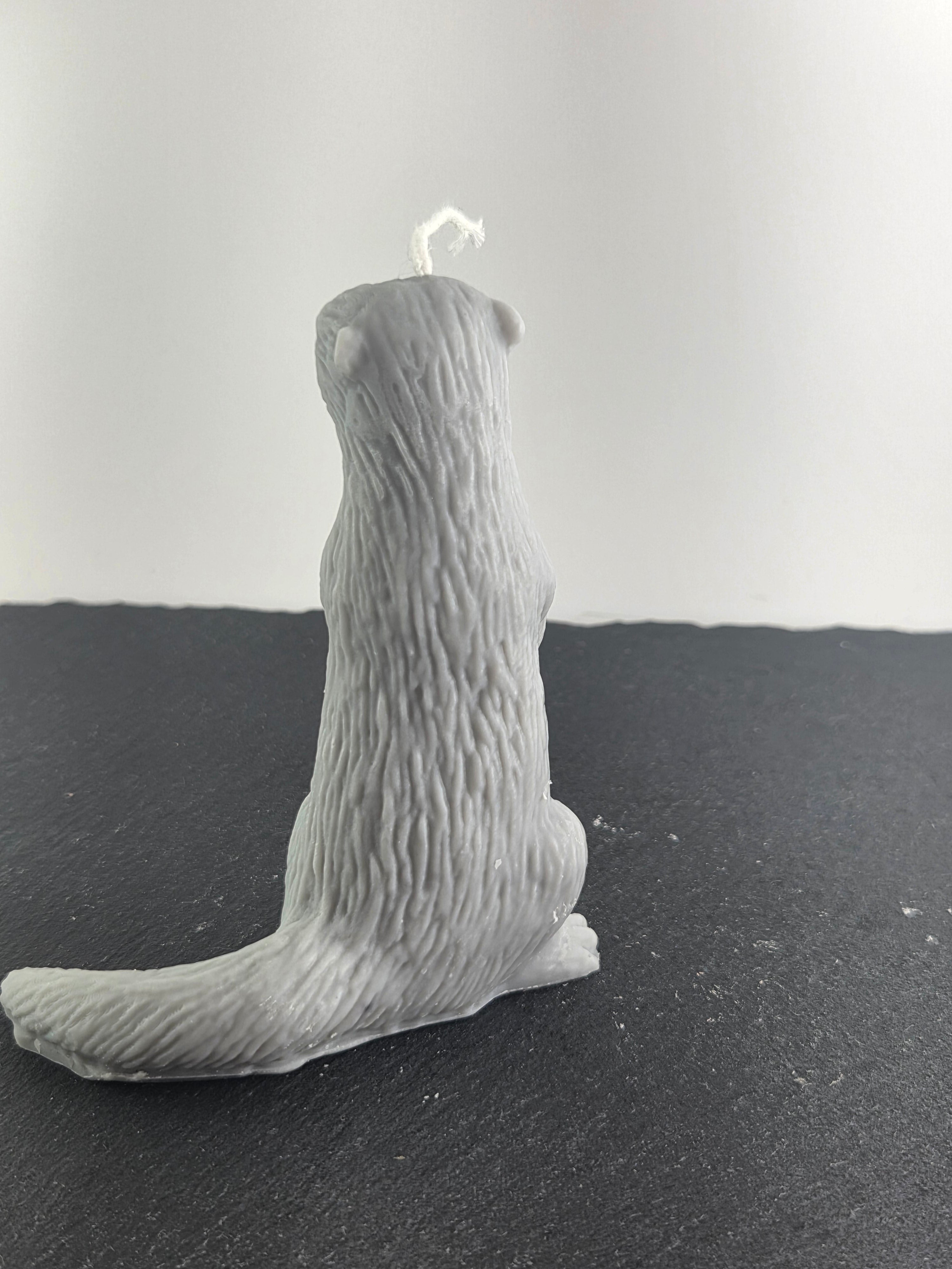 Otter