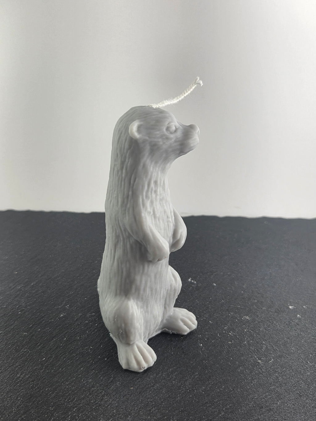 Otter