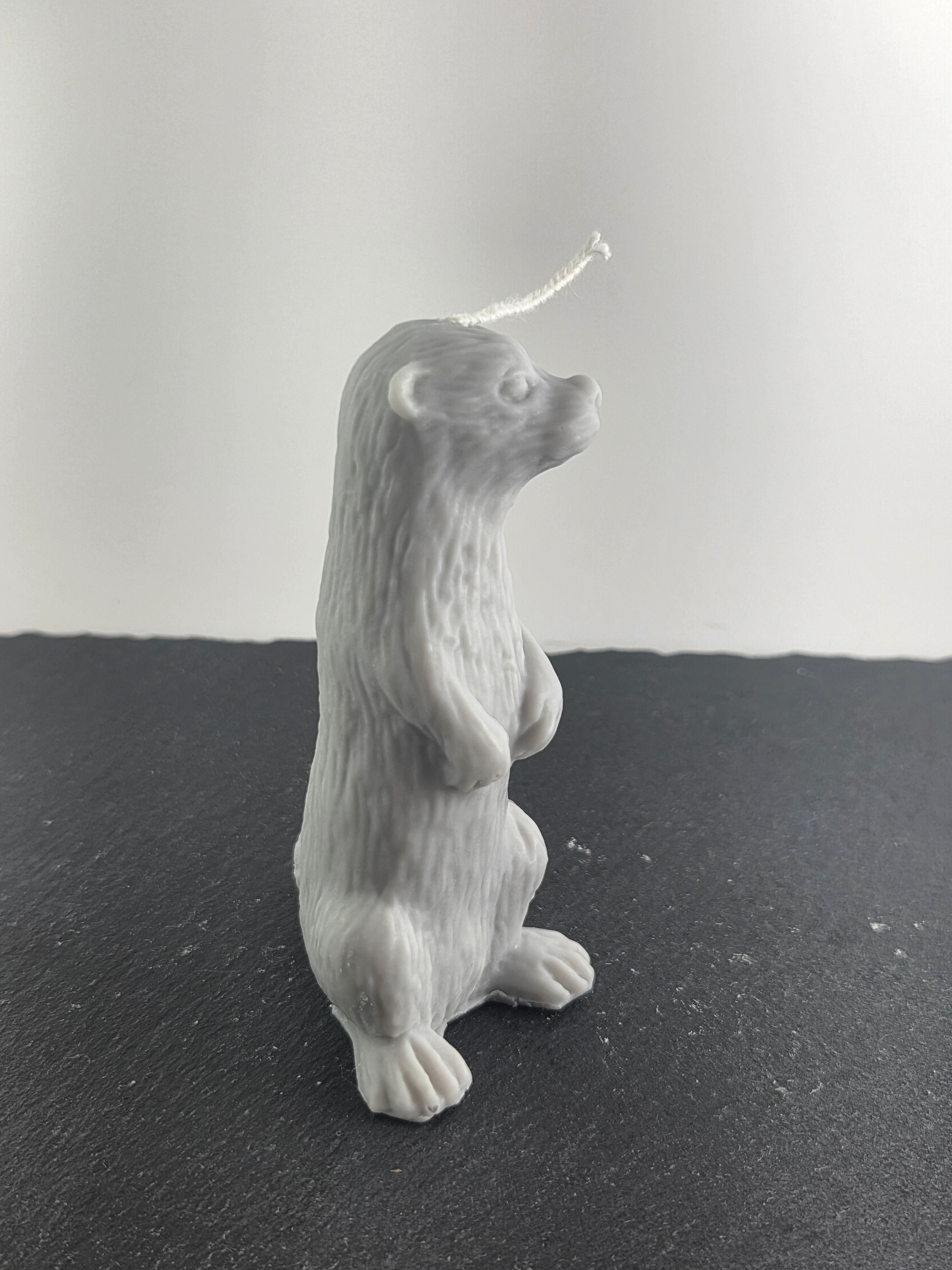 Otter