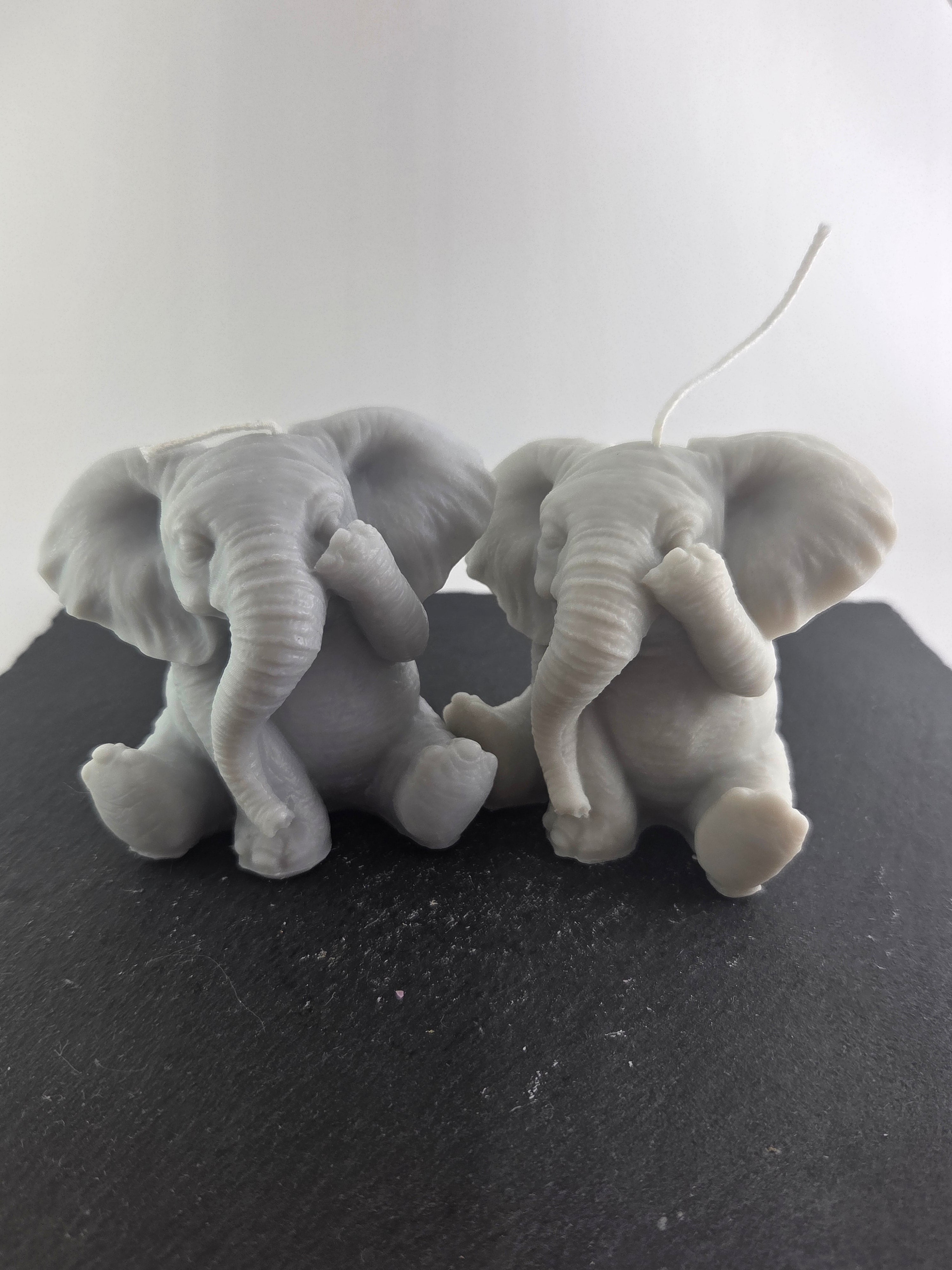 Elefant