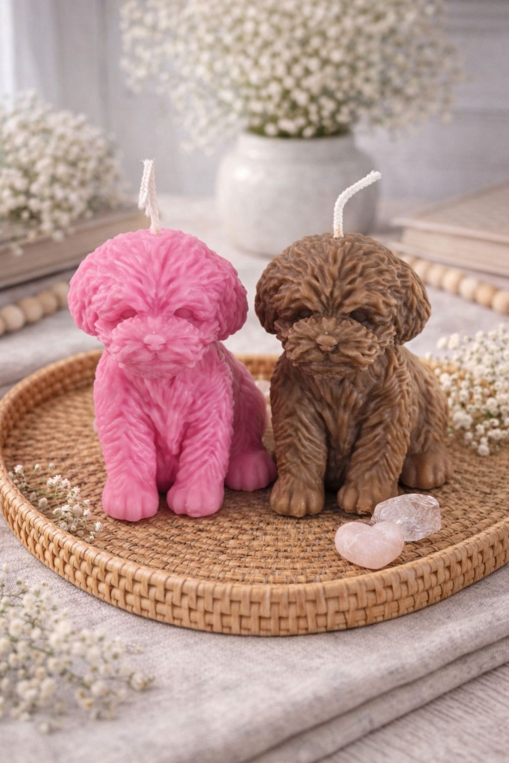 Teddyhund