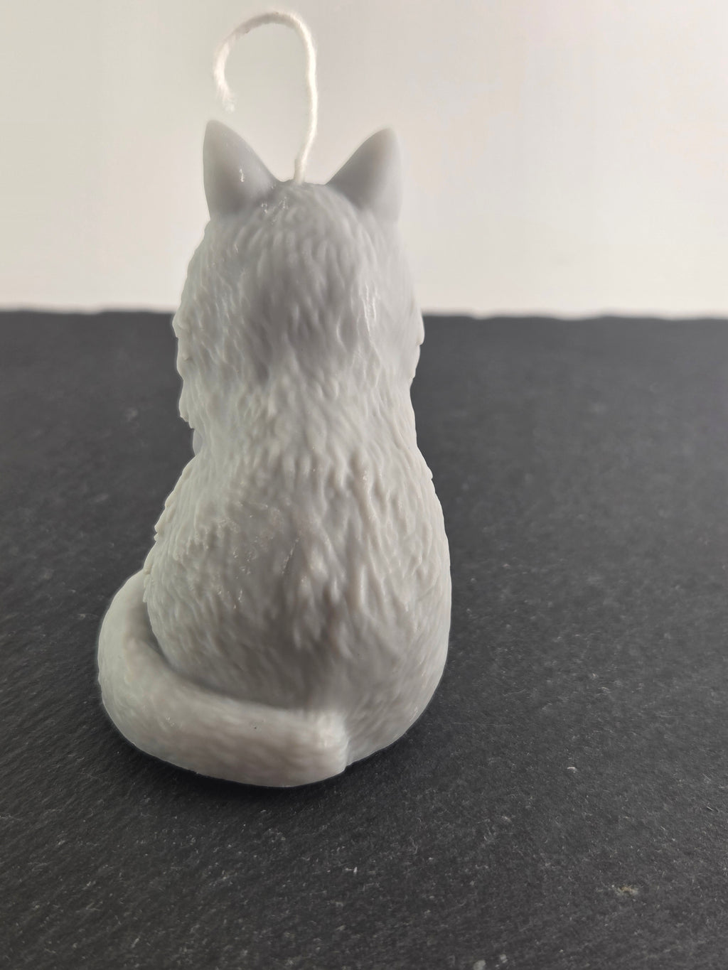 sitzende Katze