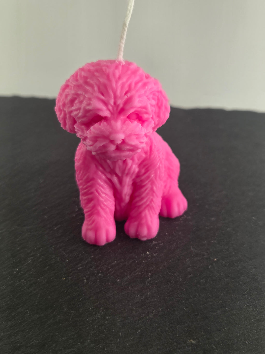 Teddyhund