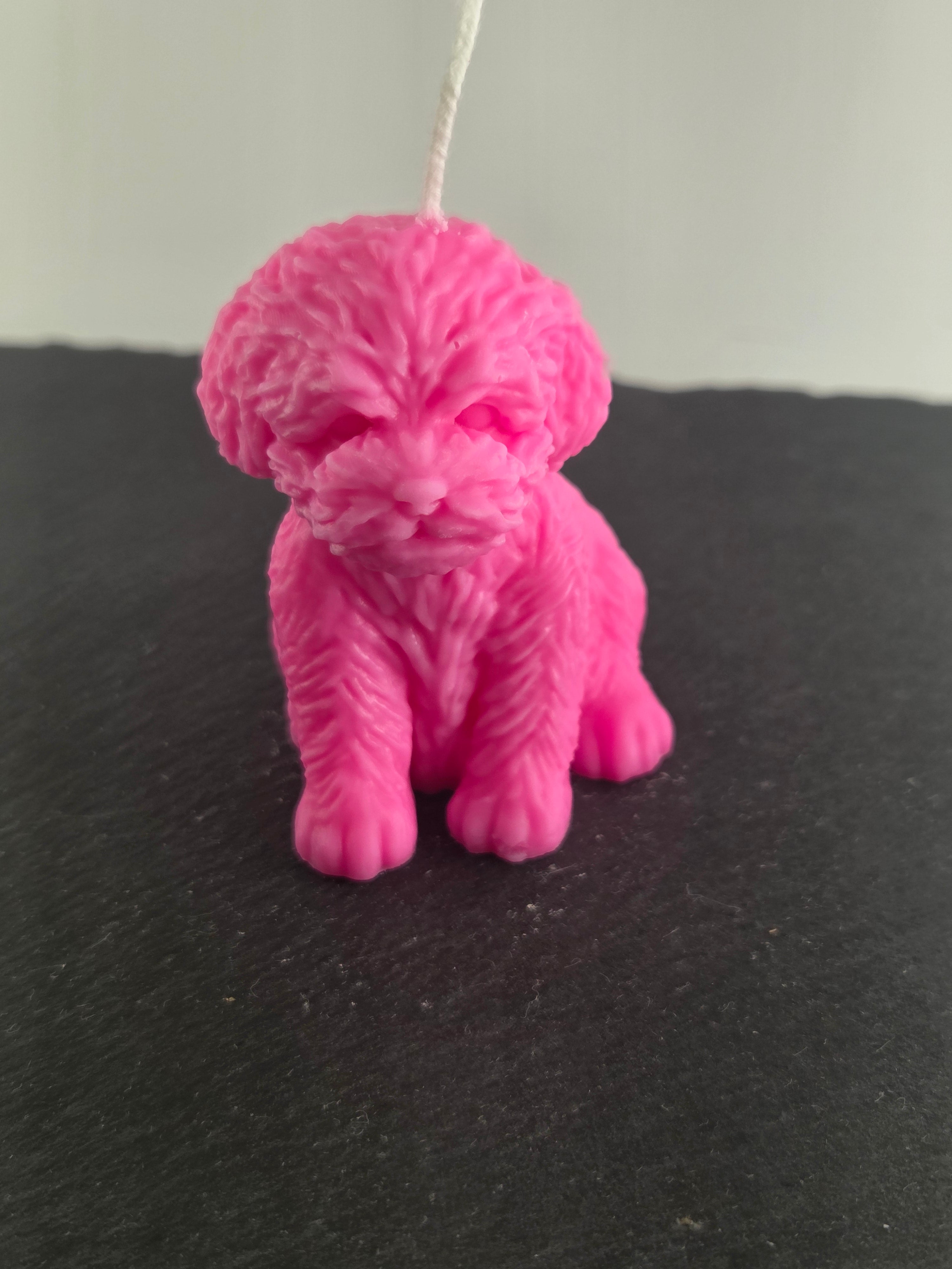 Teddyhund