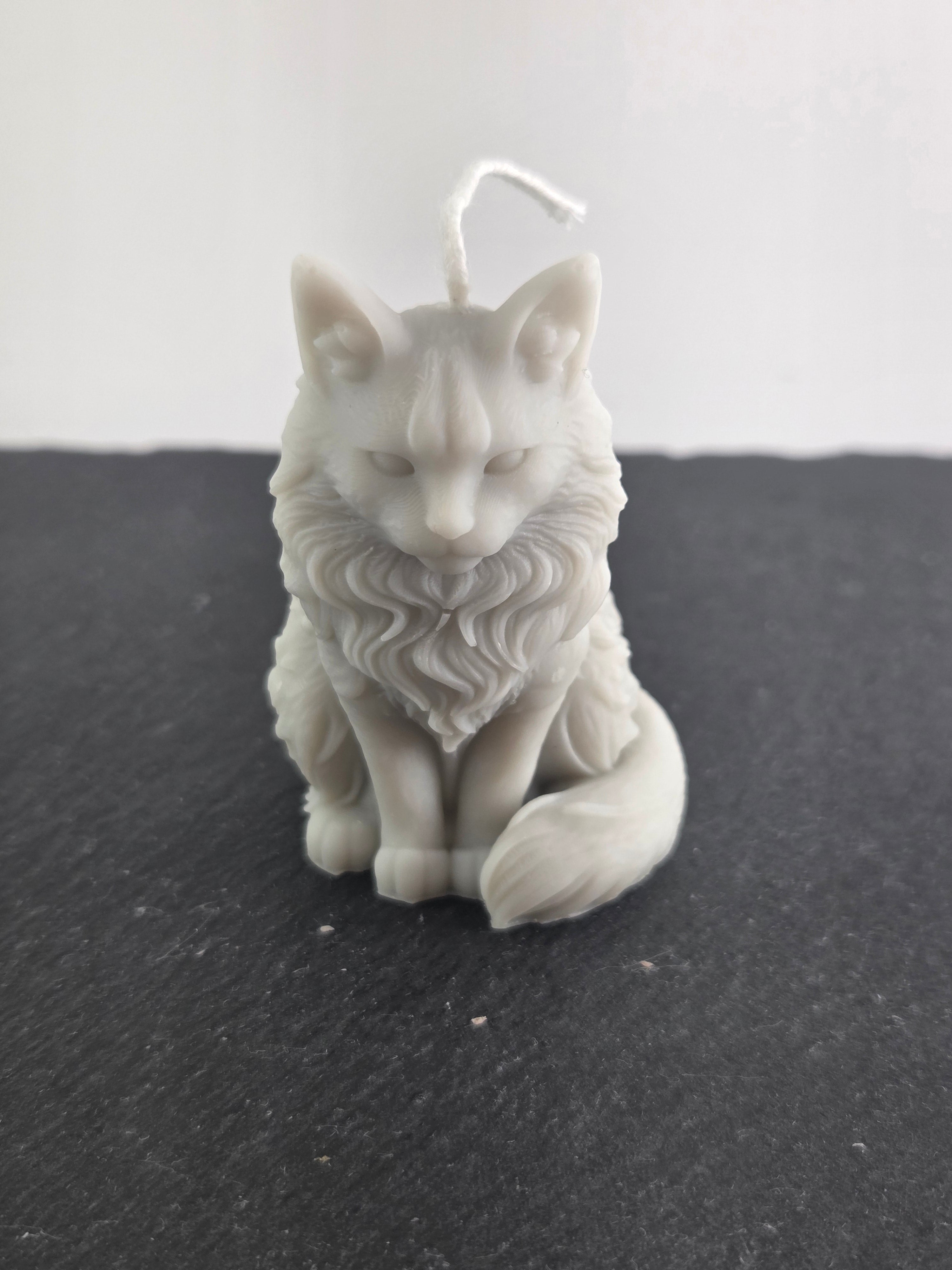 sitzende Katze