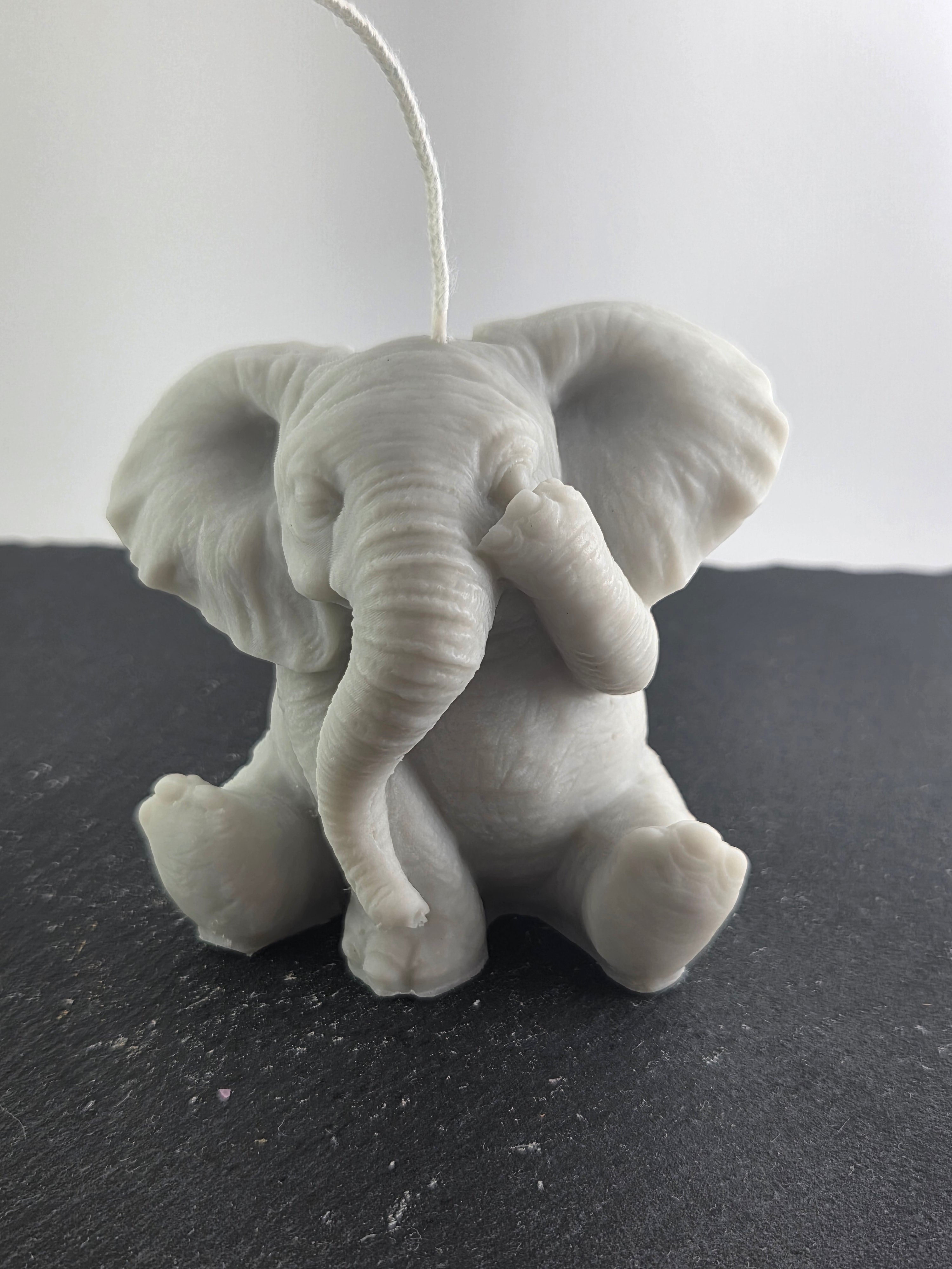 Elefant