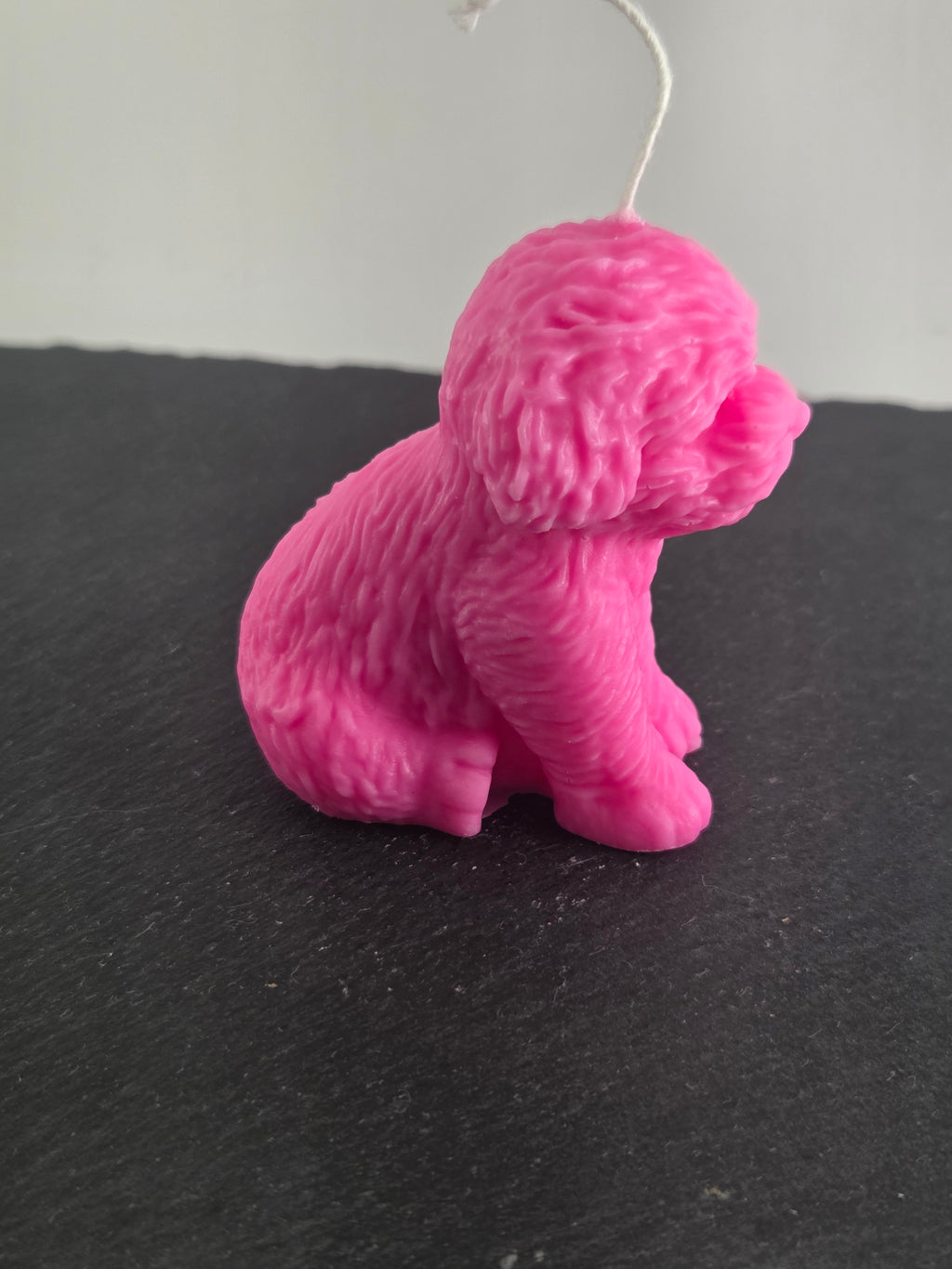 Teddyhund