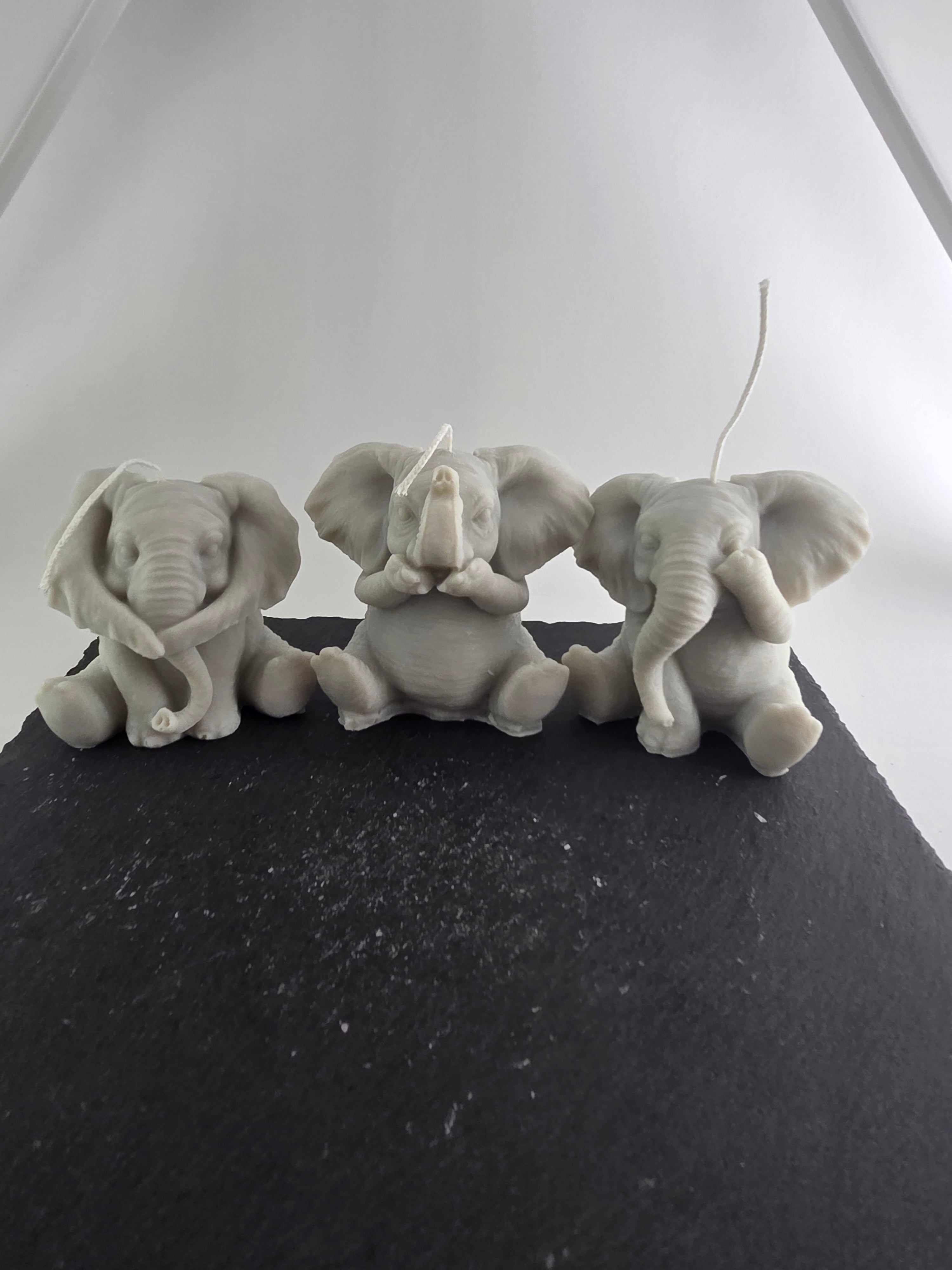 Elefant