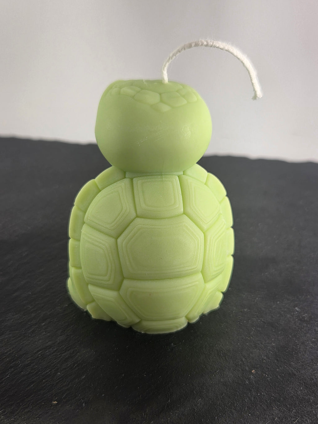 Schildkröte