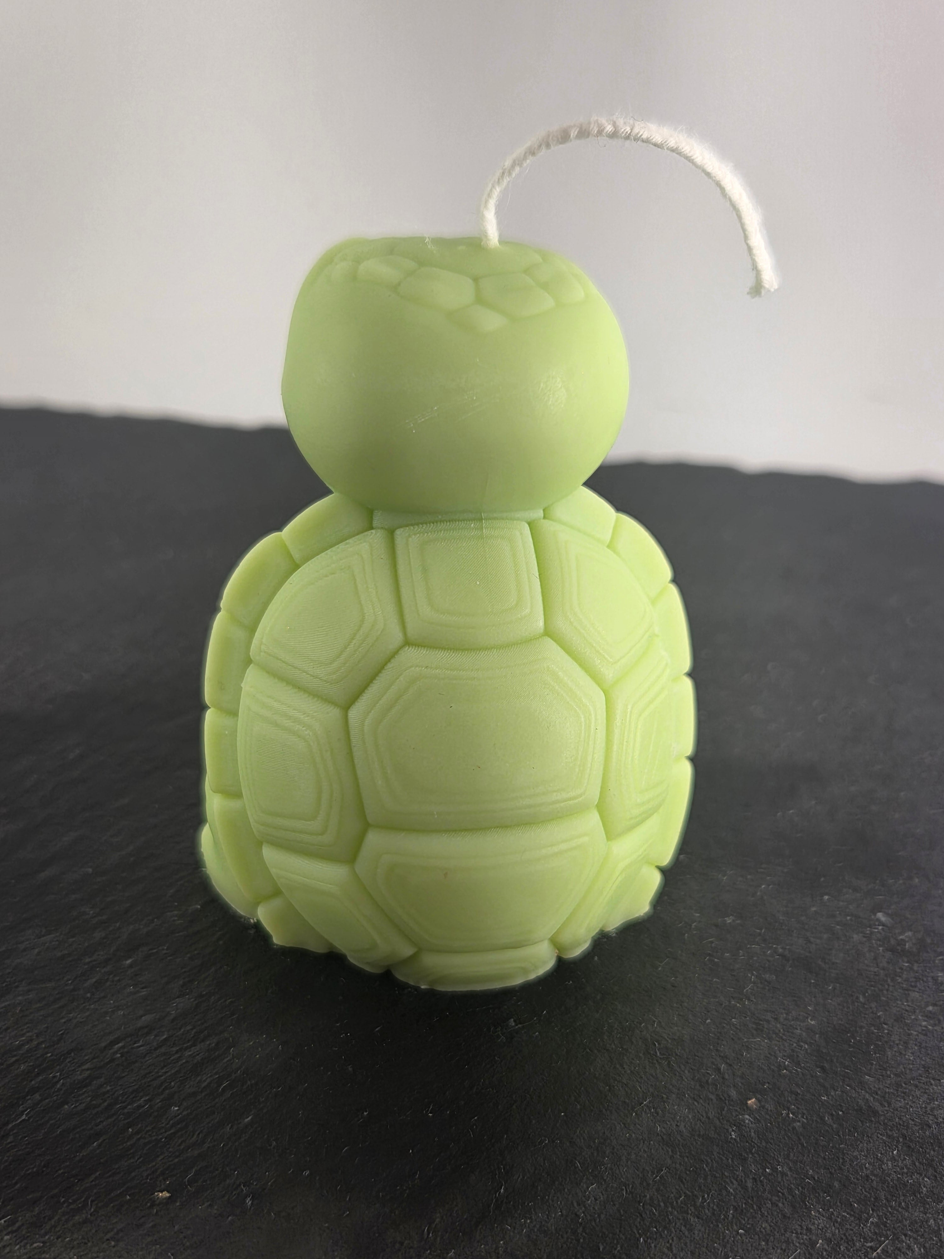 Schildkröte